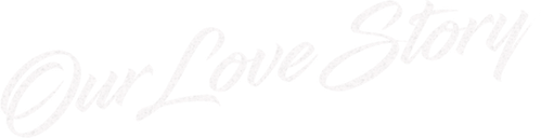 Our Love Story logo