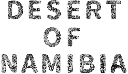 Desert of Namibia logo