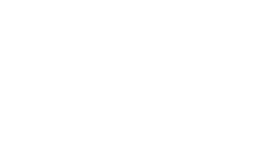 Bluey's Big Play logo