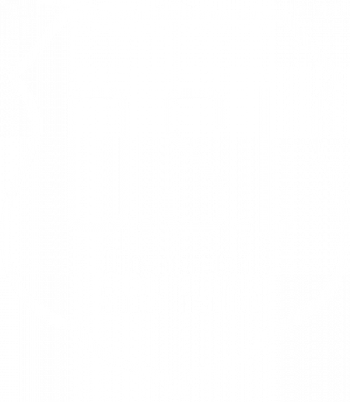 Organisation super insolite logo