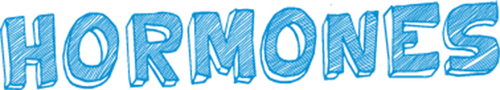 Hormones logo