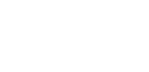 DMZ logo