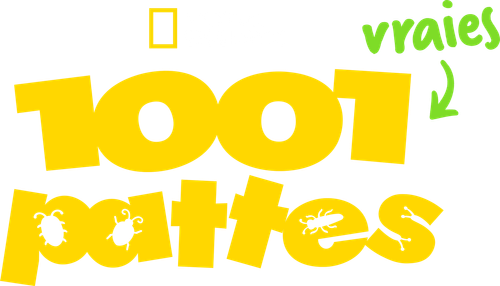 1001 vraies pattes logo
