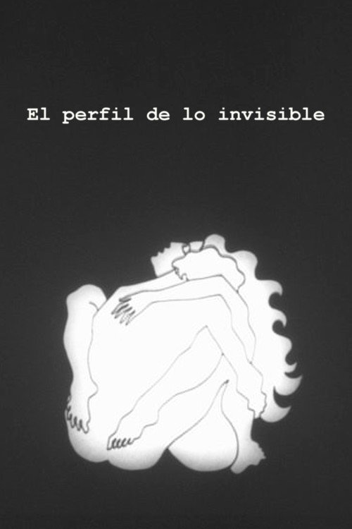 El Perfil de lo Invisible