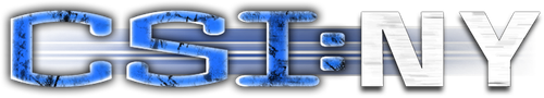 CSI: NY logo