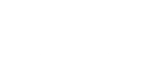 Marshal Tito's Spirit logo