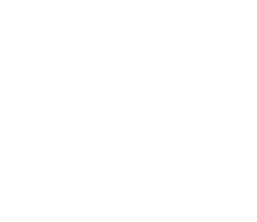 Down Low logo