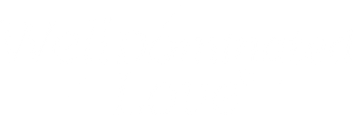 奈何BOSS又如何 logo