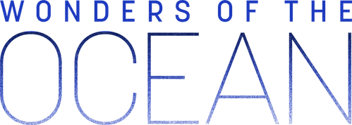 Wonders of the Ocean logo
