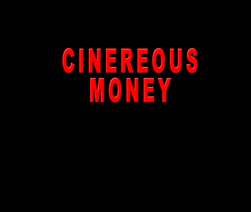 Dinero Gris logo