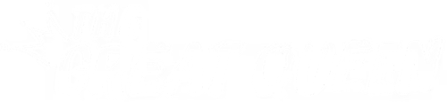 吾凰在上之凤御四方 logo