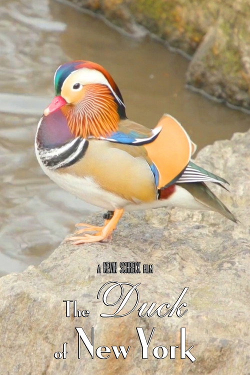 The Duck of New York