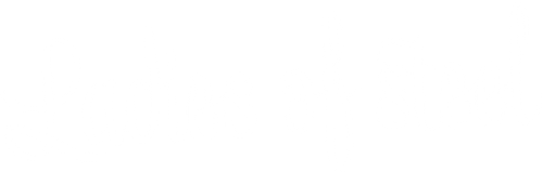 Ladies of Steel logo