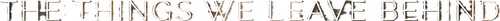 The Things We Leave Behind logo