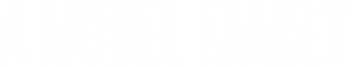 A Model Family logo