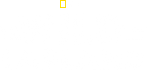Wild Lapland logo