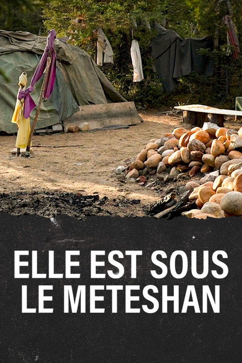 Elle est sous le Meteshan
