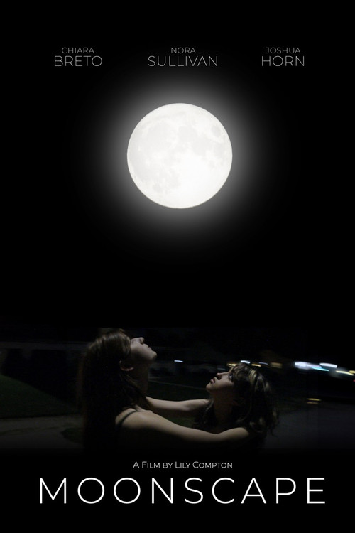 Moonscape