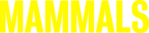 Mammals logo
