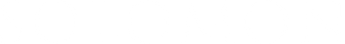 Salomon logo