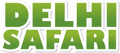 Delhi Safari logo