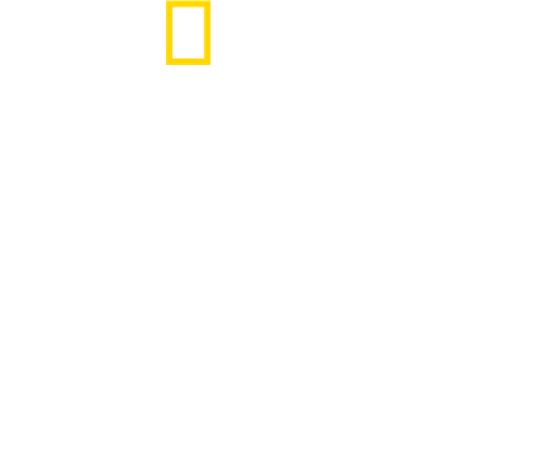 The Real Right Stuff logo