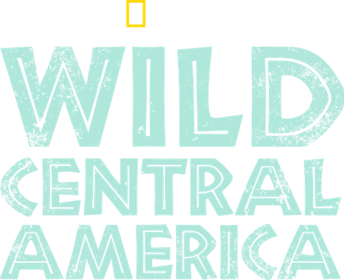 Destination Wild : Amérique centrale logo