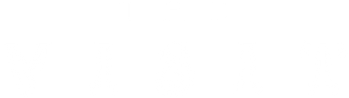 The Visit logo
