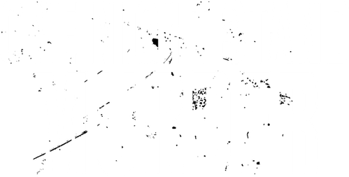 One Night Stand Murder logo