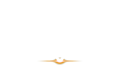 Needle in a Timestack logo