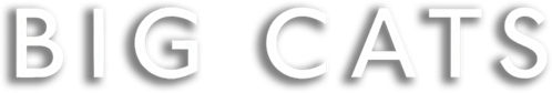 Aventures en terre féline logo