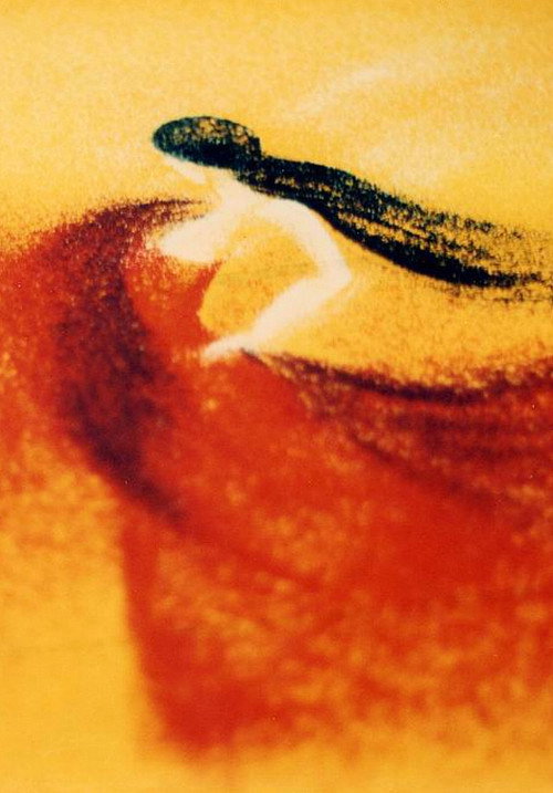 Carmen Suita z „Carmen – Suity”
