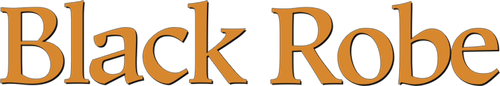 Robe noire logo