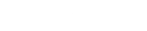 Three Busy Debras logo