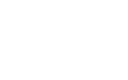 Border Control: Brazil logo