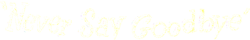 Ne dites jamais adieu logo