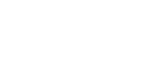 UFC 319: du Plessis vs. Chimaev logo