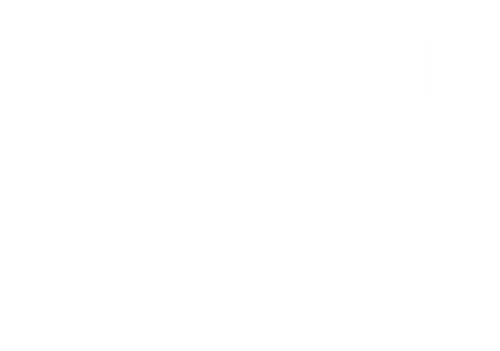 Simple Minds : Tout est possible logo