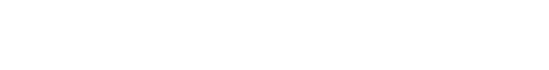 The Accidental Twins logo
