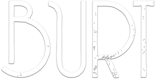 Burt logo
