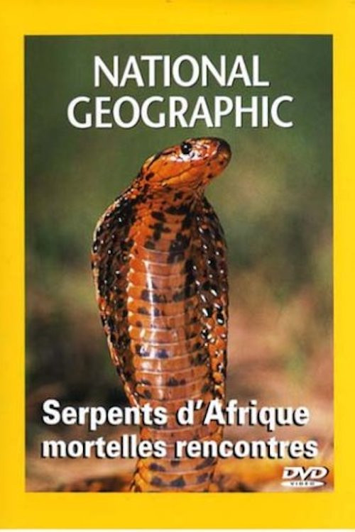 National Geographic Les serpents d'Afrique