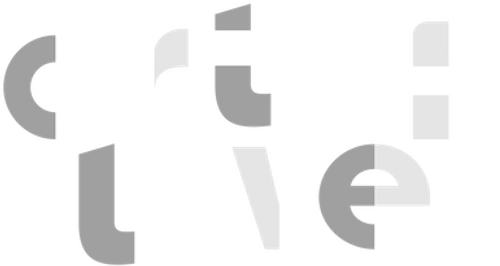 Art of Love logo