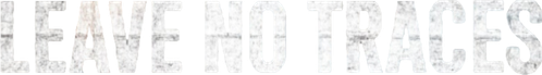 Leave No Traces logo