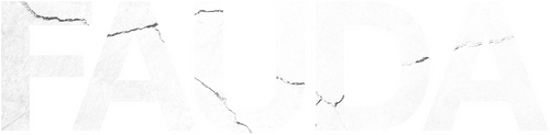 Fauda logo