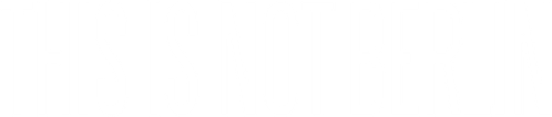 This Is Not Berlin logo