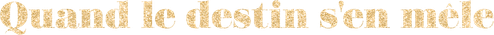 Quand le destin s'en mêle logo