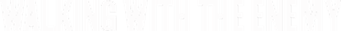 Walking with the Enemy logo