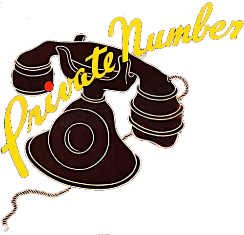 Private Number logo