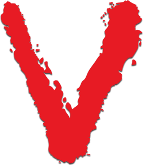 V logo
