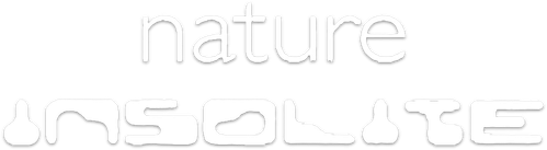 Nature insolite logo